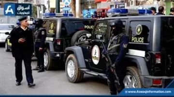 القبض على عامل أجنبي بتهمة سرقة 73 هاتفا محمولا وتفكيك عصابة لسرقة السيارات في الإسماعيلية والسويس