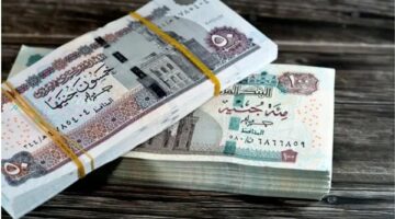 «بأمر البرلمان والمالية».. صرف زيادة 700 جنيه لجميع موظفي الدولة رسميًا – مفاجأة المرتبات تكشف الفئات المستفيدة الآن