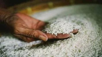 سعر طن الأرز الشعير اليوم الإثنين 19 مايو 2025 بالأسواق