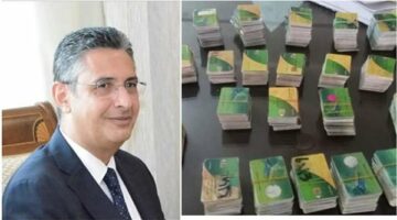 بدء إضافة المواليد اونلاين عبر منصة مصر الرقمية بالخطوات فقط لهؤلاء لو انت منهم سجل عيالك بسرعه