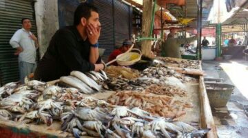 أسعار الأسماك والجمبرى اليوم الخميس 22 -5-2025