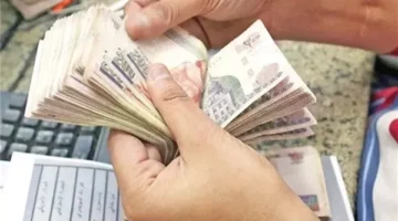 جدول مرتبات أعضاء هيئة التدريس بالجامعات الجديد زيادة حافز الجودة والعلاوة الدورية والحافز الإضافي