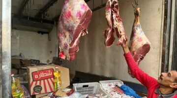 لا يتم استيراد أي شحنة لحوم إلى مصر إلا بعد وجود لجنة من الدولة المستوردة