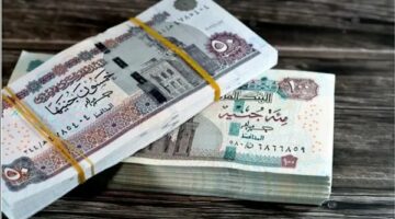 «الفلوس قربت تنزل».. التأمينات تُحدد رسميًا موعد صرف معاشات يونيو 2025 وتوضح طريقة الاستعلام | القبض السبت أم الأحد؟