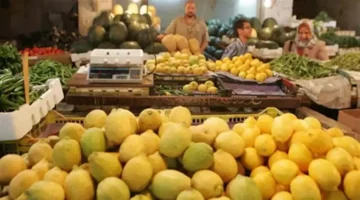 ارتفاع الليمون.. أسعار الخضروات والفاكهة اليوم في سوق العبور 23-5-2025