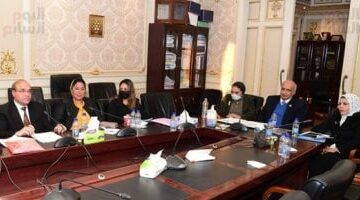 تعليم النواب تناقش موازنة البحث العلمى والجامعات بحضور وزير التعليم العالي