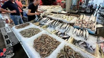 أسعار اللحوم والأسماك اليوم الثلاثاء 13-5-2025 فى سوهاج.. البلطى بـ85 جنيها