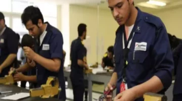 تحديات وفرص: مجالات مثيرة للموهوبين في التعليم