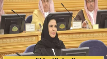 خبراء يحذرون… الجودة الورقية كابوس يُرهق التعليم ويُشتت الأساتذة