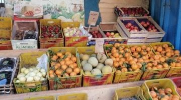 أسعار الفاكهة اليوم السبت 17-5- 2025 بأسواق محافظة مطروح.. البطيخ بـ 15 جنيها