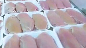 أسعار الفراخ بأسواق مطروح اليوم الأربعاء 28- 5-2025.. الشامورت بـ125 جنيها