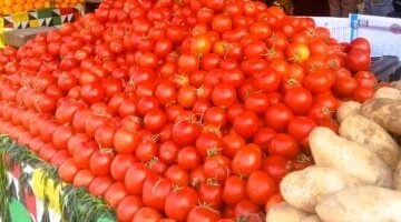 أسعار الخضراوات والفاكهة اليوم الجمعة 16-5-2025 بالإسماعيلية.. الطماطم بـ15جنيها