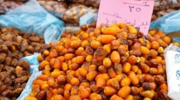 أسعار البلح اليوم الاثنين 19-5-2025 بأسواق ومحلات محافظة مطروح