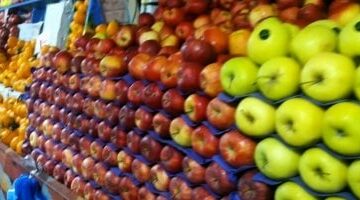 أسعار الفاكهة بأسواق مطروح اليوم الأحد 4-5- 2025.. البطيخ بـ 20 جنيها