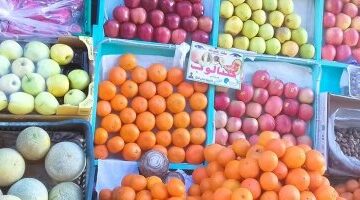 أسعار الفاكهة اليوم الأربعاء 14-5- 2025 بأسواق محافظة مطروح.. الموز بـ40 جنيها