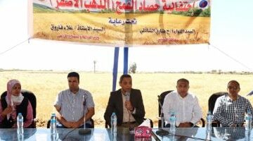 محافظ السويس يفتتح موسم حصاد القمح من قرية الشلوفة ويتفقد مطاحن وصوامع
