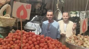 آخر أسعار الخضروات داخل الأسواق فى محافظة الأقصر.. اليوم الثلاثاء 13 مايو