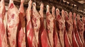 انخفاض اللحوم والدواجن والزيت اليوم الثلاثاء 20-5-2025 بالأسواق (موقع