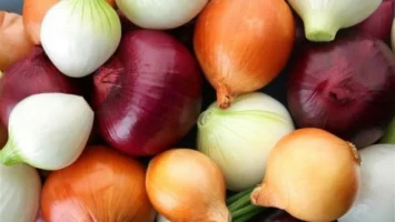 أسعار البصل اليوم الجمعة 30-5-2025 في سوق العبور