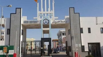 بالأسماء: 8 متقدمين لمنصب رئيس جامعة العريش كلهم من قيادات الجامعة الحاليين