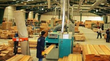 إنتاج خشب MDF في مدينة توشكى يعد المصنع الأول من نوعه