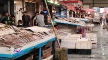 أسعار الأسماك والجمبري في الأسواق اليوم الثلاثاء 20 مايو 2025