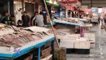 أسعار الأسماك والجمبري في الأسواق اليوم الثلاثاء 20 مايو 2025