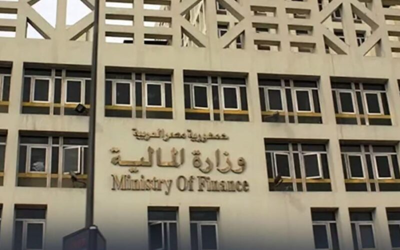 الحكومة ترفع طلبات ضخ استثمارات غير مباشرة بمقدار 349.4 مليون دولار في أسبوع..ما القصة؟