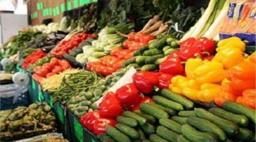 أسعار الخضراوات والفواكه اليوم السبت في الدقهلية.. تنوع واستقرار نسبي
