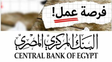 “فرصة لن تتكرر للخريجين”.. البنك المركزي يعلن عن وظائف حكومية جديدة برواتب مجزية – كيف تسجل قبل غلق التقديم؟