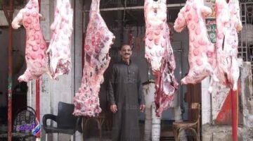 خراف حية بأسعار مخفضة في 1000 شادر تمويني استعدادًا لعيد الأضحى