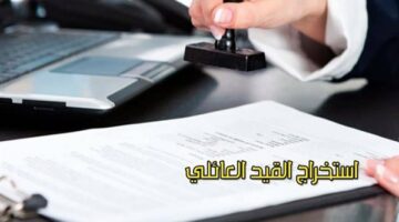 خطوات استخراج القيد العائلي 2025 في 15 دقيقة وانت في بيتك أونلاين بالهاتف المحمول عبر بوابة وزارة الداخلية ما هي المستندات المطلوبة؟