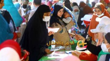معاش مضمون لكل ست مصرية: التأمينات بتقدملك فرصة تأمينية من غير وظيفة رسمية