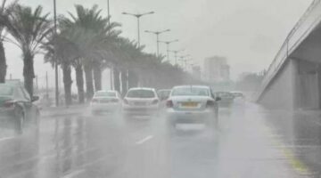 لم نتأثر بـ طقس الإسكندرية ..ومتاحفنا مفتوحة للزيارة