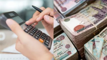 تفاصيل ومزايا شهادات العائد المتغير للأفراد من بنك التنمية