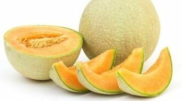 أسعار الفاكهة بأسواق مطروح اليوم الأحد 18-5- 2025.. الكنتالوب بـ 20 جنيها