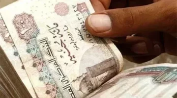 صرف معاشات شهر مايو 2025 يبدأ الخميس 1 مايو.. اعرف أماكن الصرف وطريقة الاستعلام