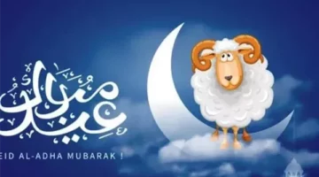 موعد وقفة عرفات وعيد الأضحى 2025‏.. الحسابات الفلكية تحدد