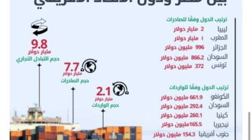 4.7% ارتفاعًا في الصادرات المصرية لدول الاتحاد الإفريقى 2024