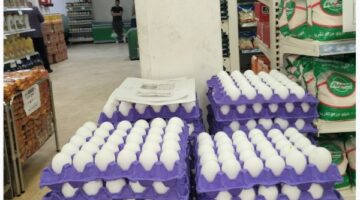 سعر طبق البيض 120 جنيها.. التموين تواصل توفير السلع بأسعار مخفضة