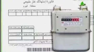 فاتورة الغاز لشهر مايو 2025.. تسجيل القراءة على بتروتريد ودفع الفاتورة من غير ما تقوم من مكانك بطريقه سهلة وبسيطه