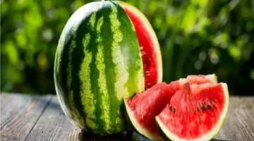 فئات عليها الامتناع عن تناول البطيخ تمامًا