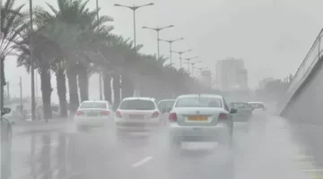 الأرصاد تصدر بيانا هاما بشأن تقلبات حالة الطقس اليوم الإثنين 5 مايو 2025