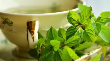 7 توابل شهيرة.. إذا أضفتها هتحول الشاي الأخضر إلى كوب من الراحة ويجعله منوم طبيعي