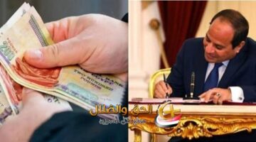 إعلان تاريخي يغير حياة الملايين.. كم ستكون نسبة الزيادة في المعاشات؟
