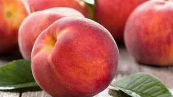 مع بدء الموسم 8 فوائد صحيه مذهلة للخوخ أهمها الوقاية من المرض اللعين