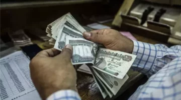 وزارة المالية تعلن تعليمات صرف مرتبات شهر مايو 2025 لجميع الوزارات الحكومية