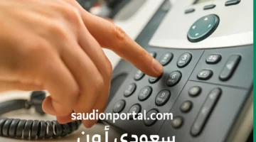 بالرقم فقط!! خطوات الاستعلام عن فاتورة التليفون الأرضي 2025 وطريقة السداد المناسبة