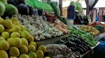 أسعار الخضروات الورقية بجملة العبور اليوم الإثنين 12 مايو 2025