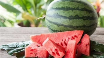 بعد ظهوره في الأسواق.. فوائد غير متوقع عند تناول البطيخ ضاع عمرك وانت مش عارفها أبرزها إزالة خلايا السرطان وفقدان الوزن